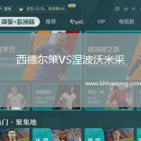 西德爾策VS涅波沃米采