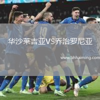 華沙萊吉亞VS喬治羅尼亞