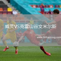 威靈VS克雷山谷文米爾斯