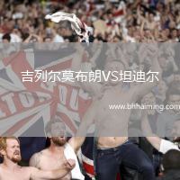 吉列爾莫布朗VS坦迪爾