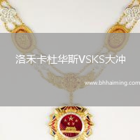 洛禾卡杜華斯VSKS大沖