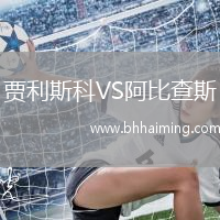 賈利斯科VS阿比查斯