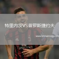 特里內茨VS普羅斯捷約夫
