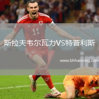 斯拉夫韋爾瓦力VS特普利斯