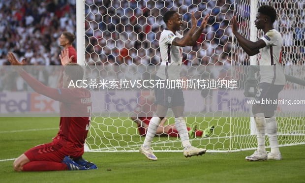 ACS蒂米索拉VSCS布加勒斯特迪納摩