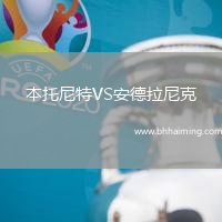 本托尼特VS安德拉尼克