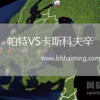 帕特VS卡斯科夫辛