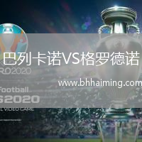 巴列卡諾VS格羅德諾