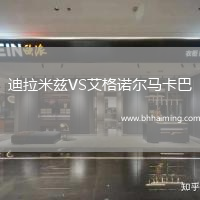 迪拉米茲VS艾格諾爾馬卡巴
