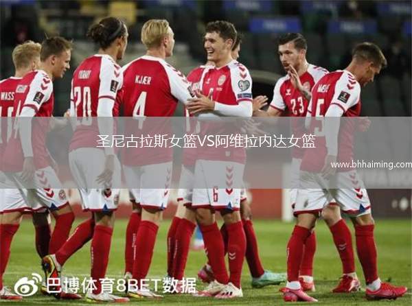 圣尼古拉斯女籃VS阿維拉內達女籃