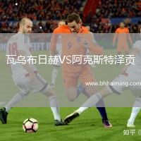 瓦烏布日赫VS阿克斯特澤貢