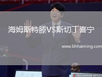 海姆斯特滕VS斯切丁喜寧