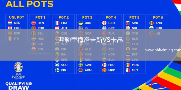 弗勒里梅洛吉斯VS卡昂