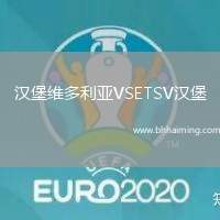 漢堡維多利亞VSETSV漢堡