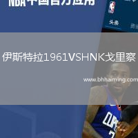 伊斯特拉1961VSHNK戈里察