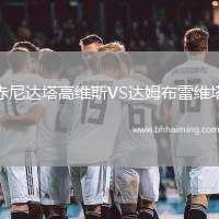 赤尼達塔高維斯VS達姆布雷維塔