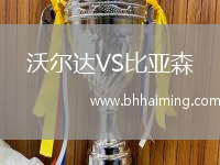 沃爾達VS比亞森