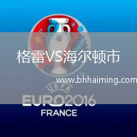 格雷VS海爾頓市