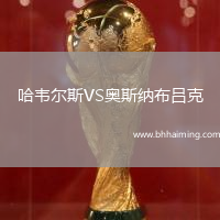 哈韋爾斯VS奧斯納布呂克