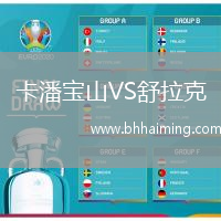 卡潘寶山VS舒拉克
