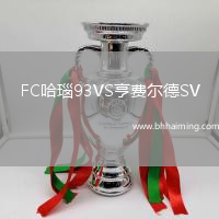 FC哈瑙93VS亨費爾德SV