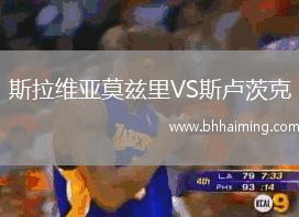 斯拉維亞莫茲里VS斯盧茨克