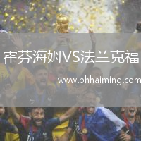 霍芬海姆VS法蘭克福