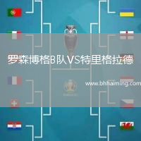 羅森博格B隊VS特里格拉德