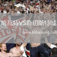 哈瓦特VS奇切斯特城