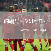 訥翰馬科VS提伯利