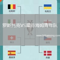 羅斯托克VS霍芬海姆青年隊
