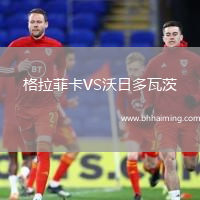 格拉菲卡VS沃日多瓦茨
