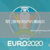 耶汀斯特沃BPVS莫納爾