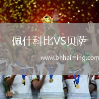 佩什科比VS貝薩