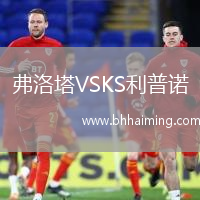 弗洛塔VSKS利普諾