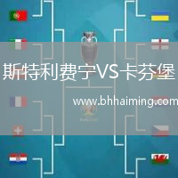 斯特利費寧VS卡芬堡