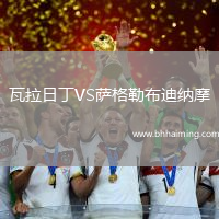 瓦拉日丁VS薩格勒布迪納摩