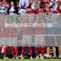 歐洲足球俱樂部VS山貓FC