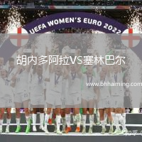 胡內多阿拉VS塞林巴爾