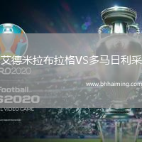 艾德米拉布拉格VS多馬日利采