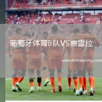 葡萄牙體育B隊VS費雷拉