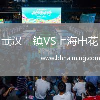 武漢三鎮VS上海申花
