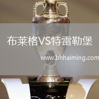 布萊格VS特雷勒堡