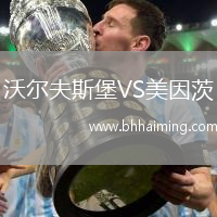 沃爾夫斯堡VS美因茨