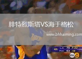 腓特烈斯塔VS海于格松