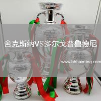 舍克斯納VS多爾戈普魯德尼