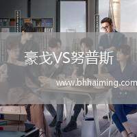 豪戈VS努普斯