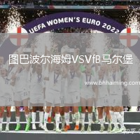 圖巴波爾海姆VSVfB馬爾堡