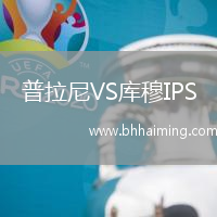 普拉尼VS庫穆IPS
