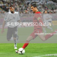 多布羅夫斯VSSD烏迪內